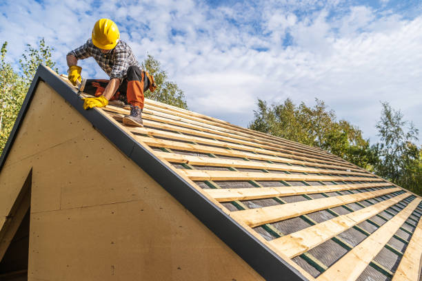 Best Roof Gutter Cleaning  in Jackson, OH